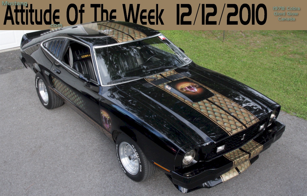 Black 1978 Cobra II