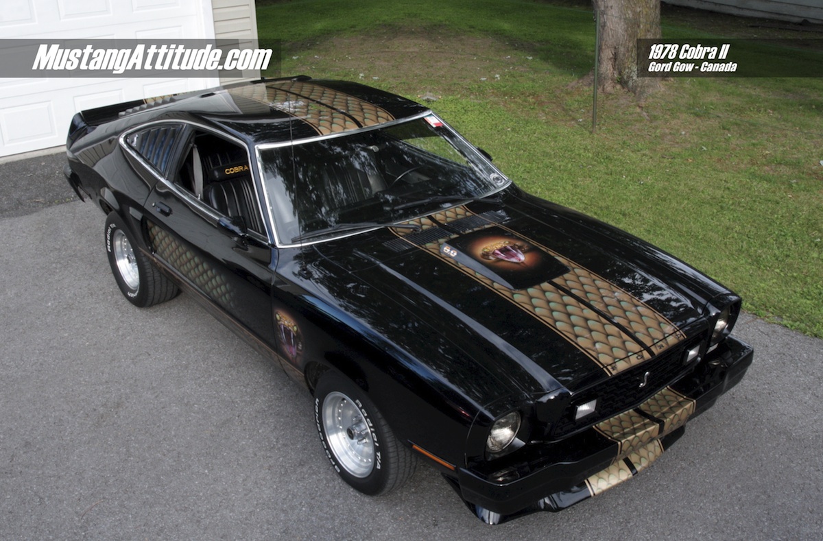 Attitude of the Month - Black 1978 Cobra Mustang