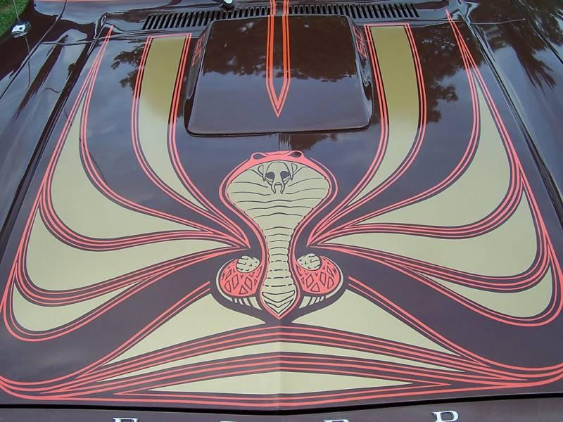 Cobra Hood Graphic 1978 Mustang II King Cobra Hatchback