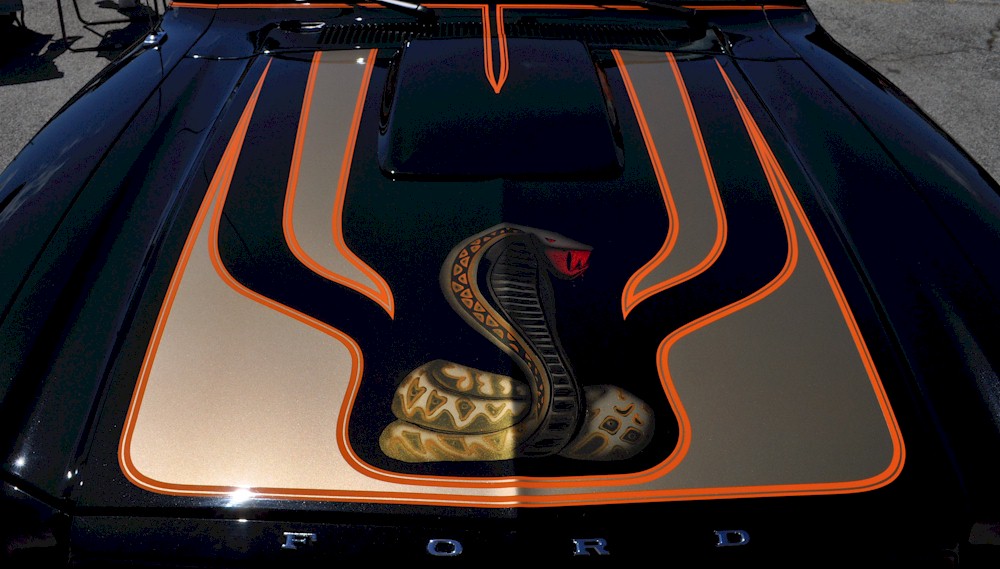 King Cobra Custom Graphics