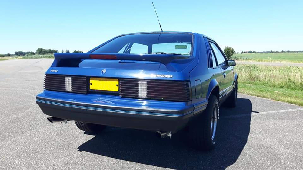 1979 T5 Cobra Medium Blue Glow