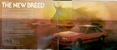 1979 Ford Mustang Promotional Booklet