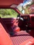 Red Interior 1979 Mustang Hatchback