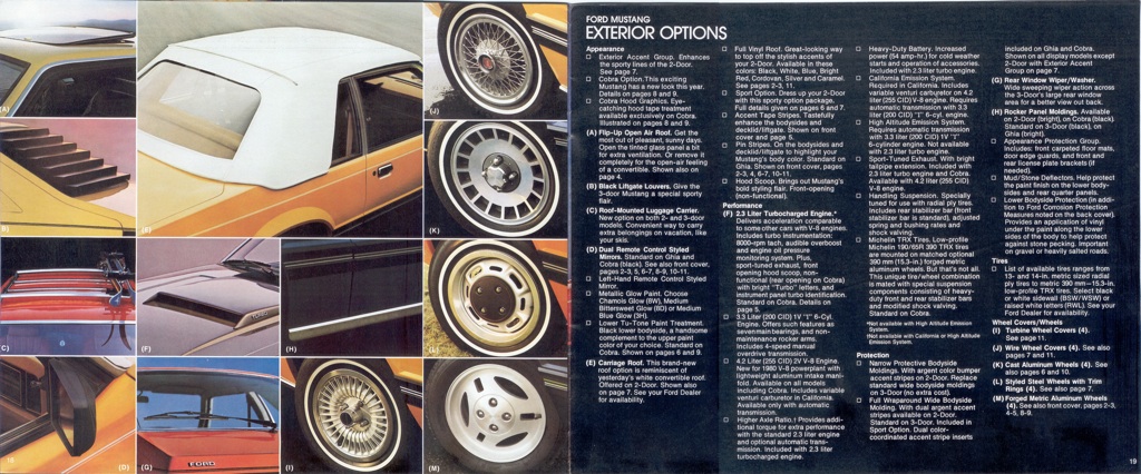 1980 Mustang Exterior Options
