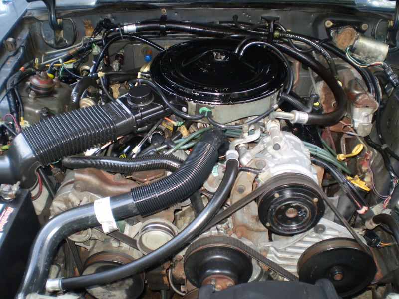 1983 Mustang V6 Engine