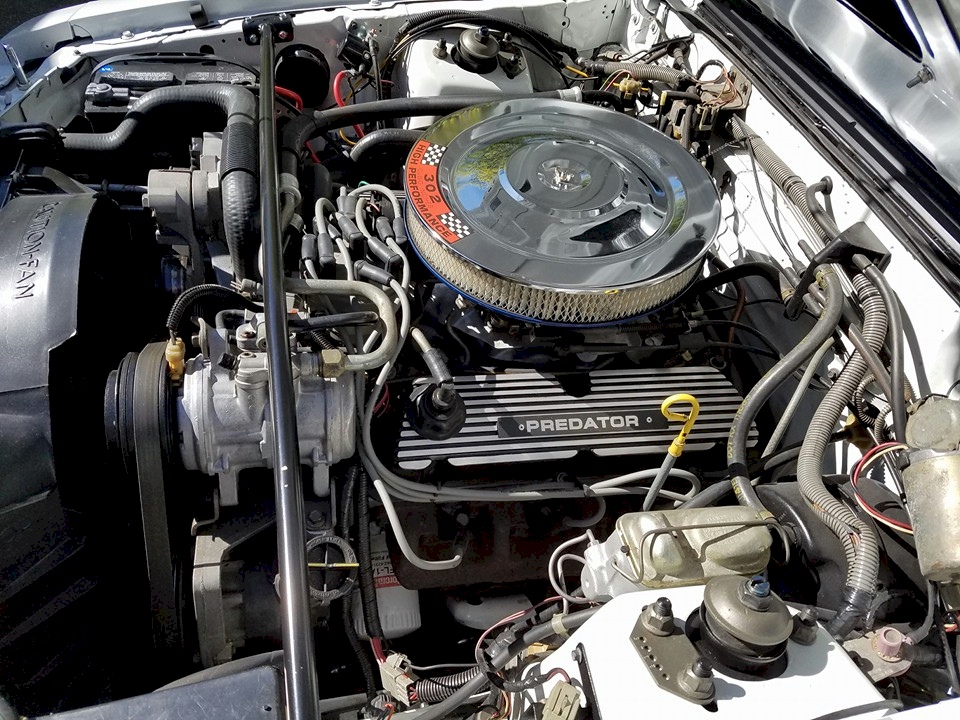 1984 Mustang Predator Engine