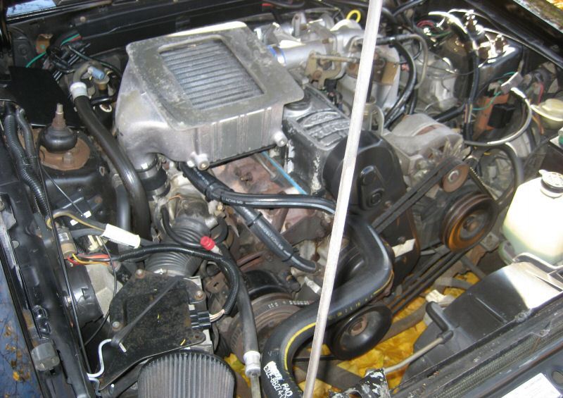 Black 1985 Mustang SVO Hatchback