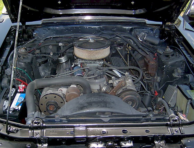 1984 Mustang 5.0L V8