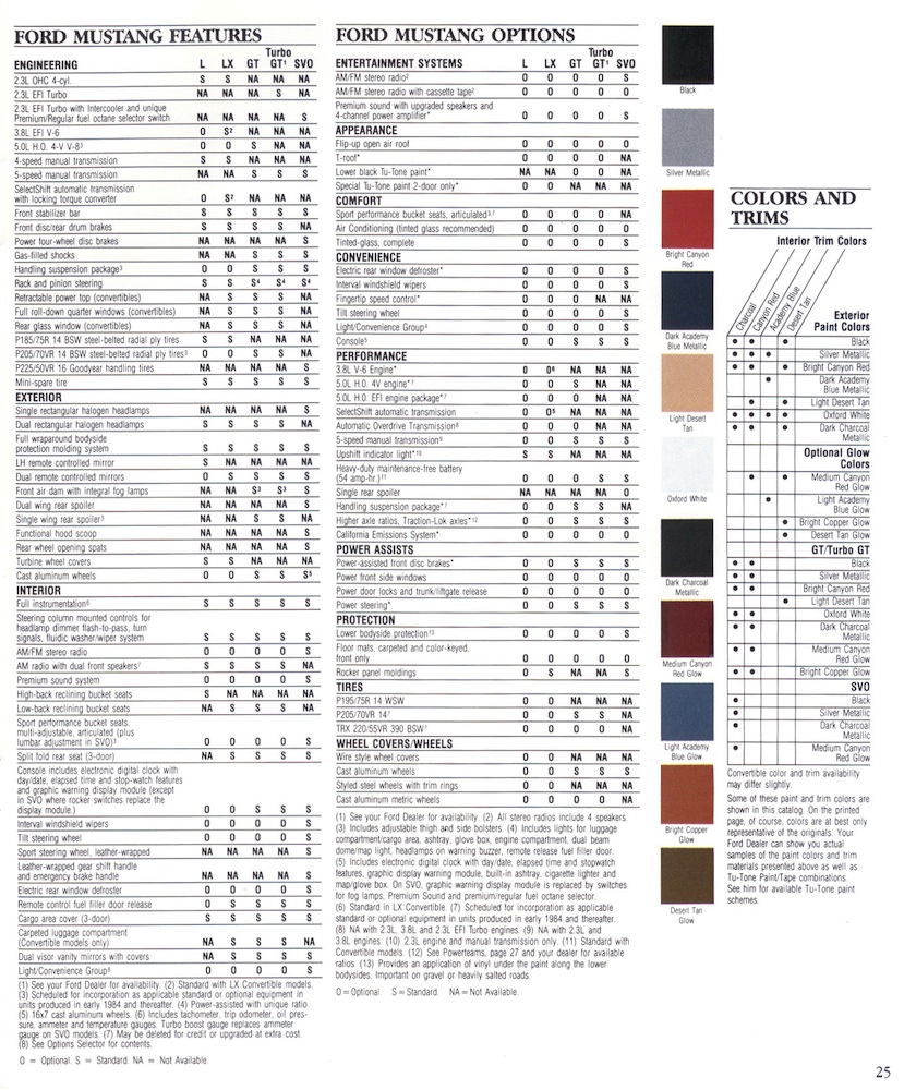 Page 25: Paint, Trim and Options