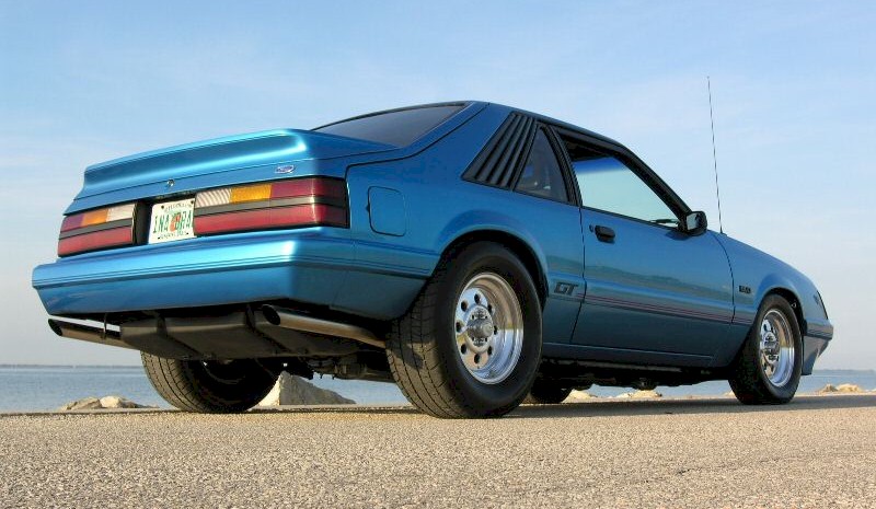 Down Low Right Rear View