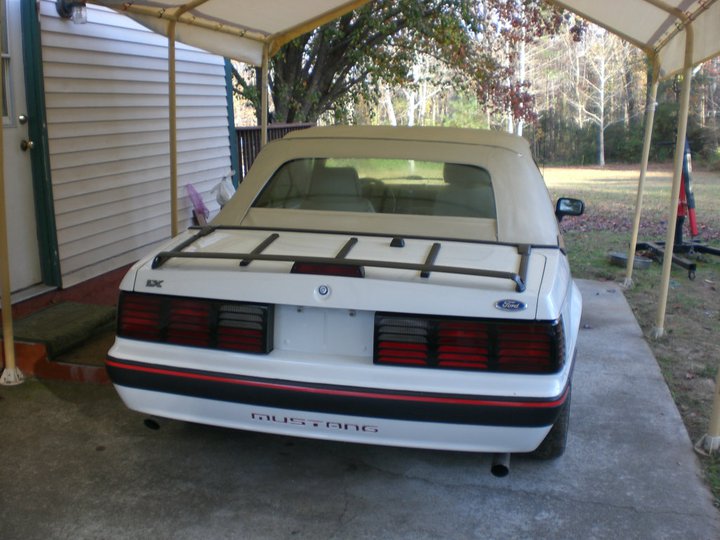 New Taillights