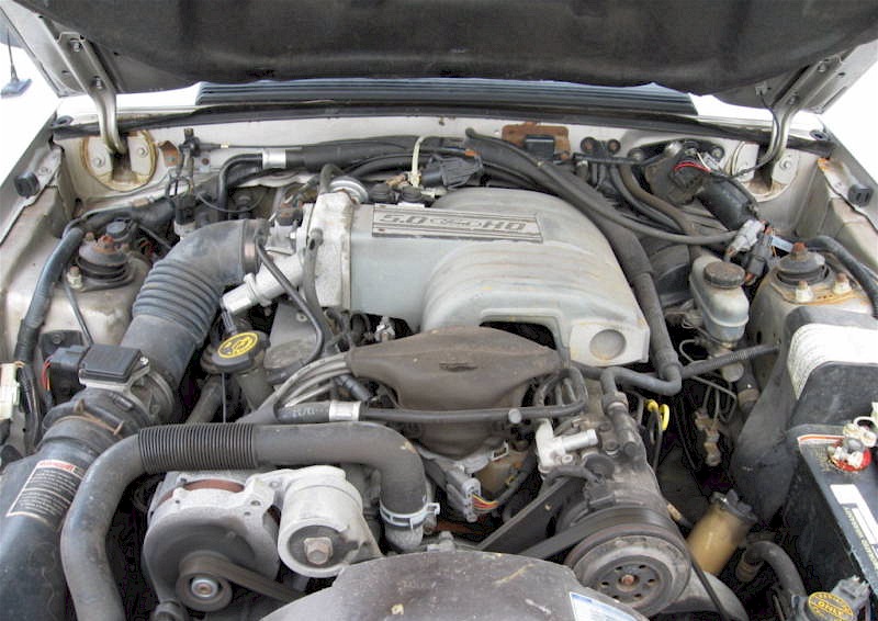 1990 Mustang GT 5.0L Engine