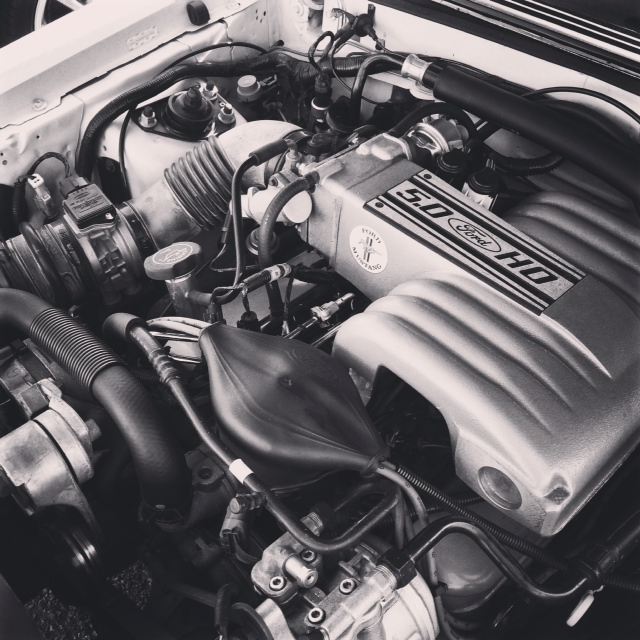 1993 Mustang Engine