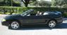 Black 1995 Mustang SVT Cobra