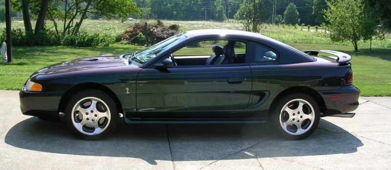 1996 Mystic Mustang Cobra