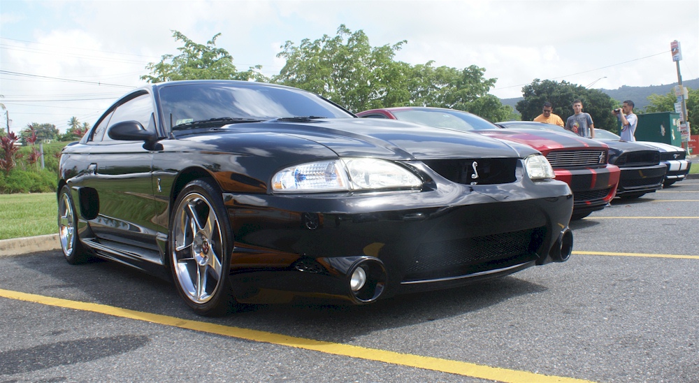 Black 1998 Mustang Cobra