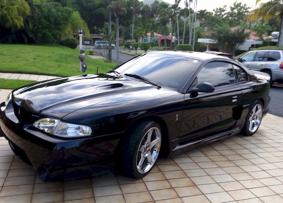 Black 1998 Mustang Cobra
