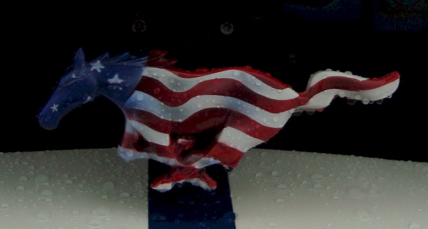 Red White and Blue Pony