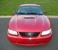 1999 Rio Red Mustang GT front end
