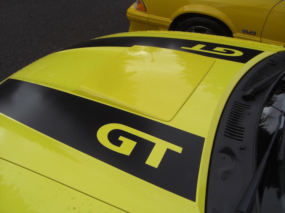 spring feature black GT hood stripes