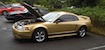 Sunburst Gold '00 Mustang GT Coupe