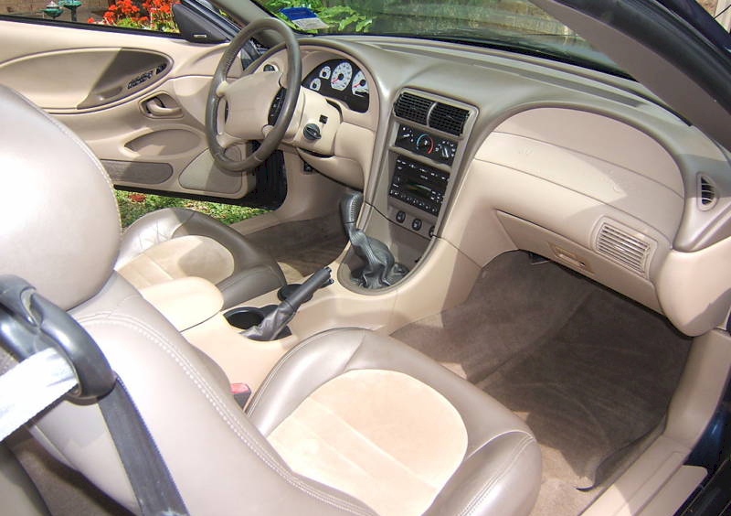 2001 Cobra Interior