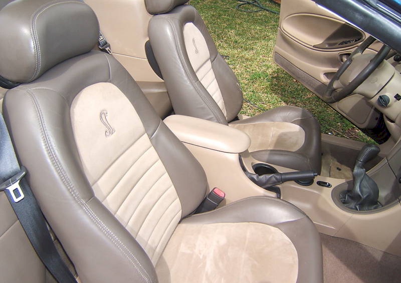 2001 Cobra Interior