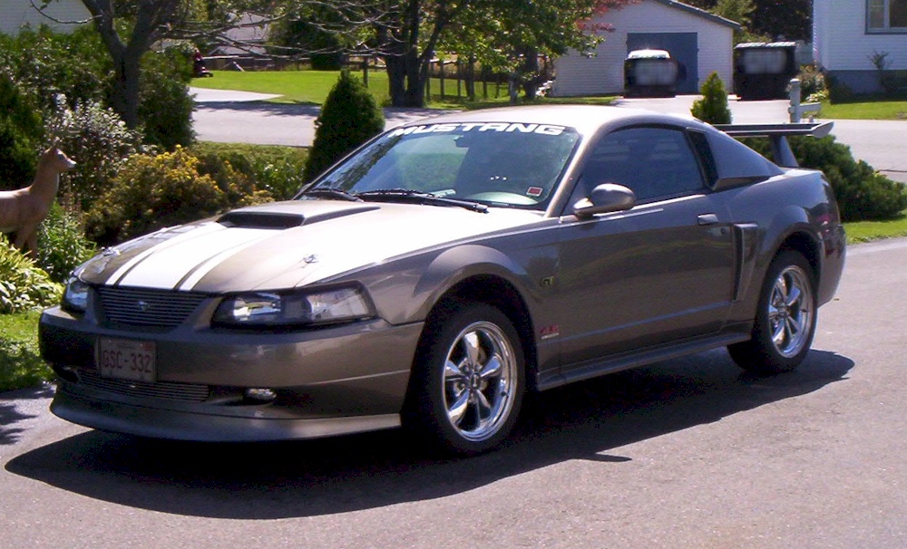 Mineral Gray 2002 Mustang GT