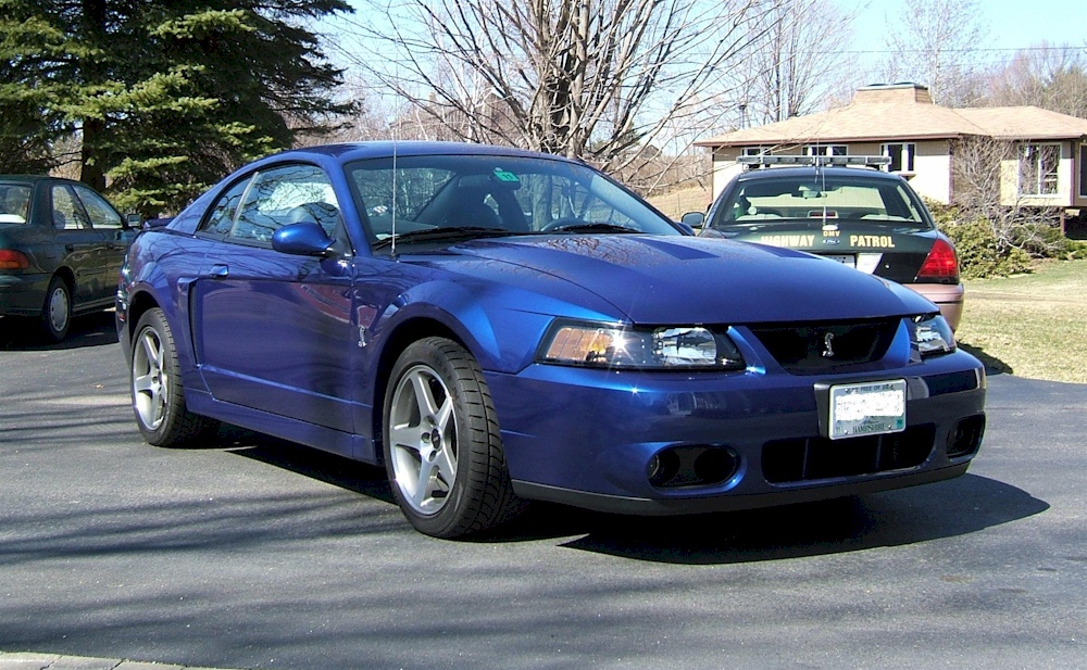 Sonic Blue 2003 SVT Cobra