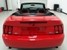 Torch Red 2003 Cobra Convertible