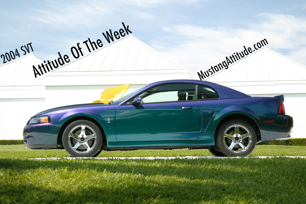 Mysti-Chrome 2004 Cobra Mustang Coupe