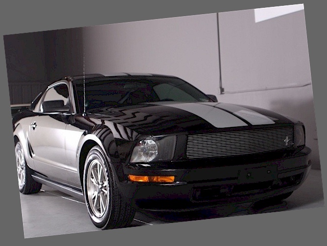 Black 2005 Mustang SDS
