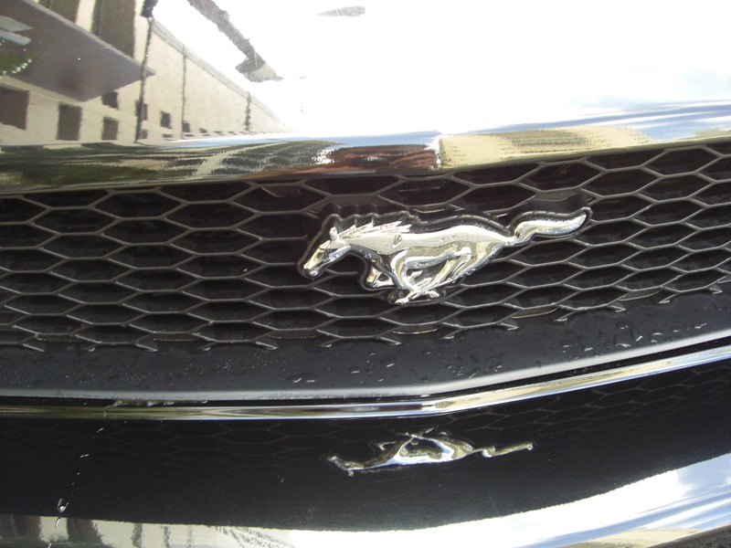 Grille Closeup