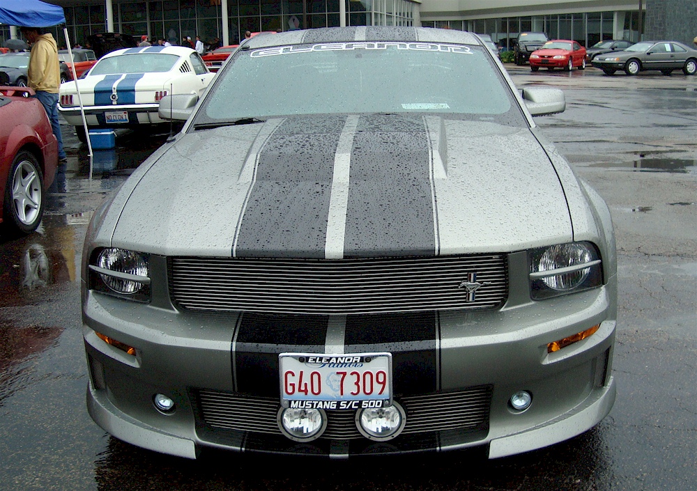 2005 Mustang Eleanor