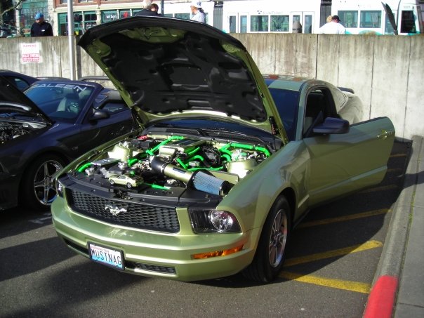 Legend Lime 06 Mustang