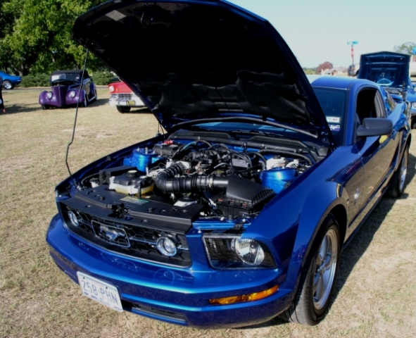 Vista Blue 2006 Mustang Stampede