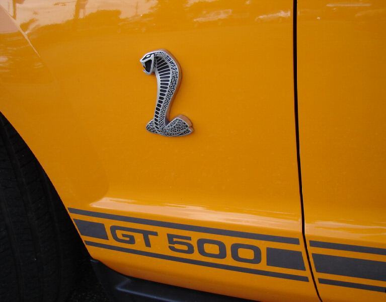 Cobra Emblem