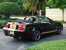 Black 2007 Mustang Shelby GT-Hertz Convertible