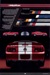 Page 18 and 19 : Shelby GT500 color options