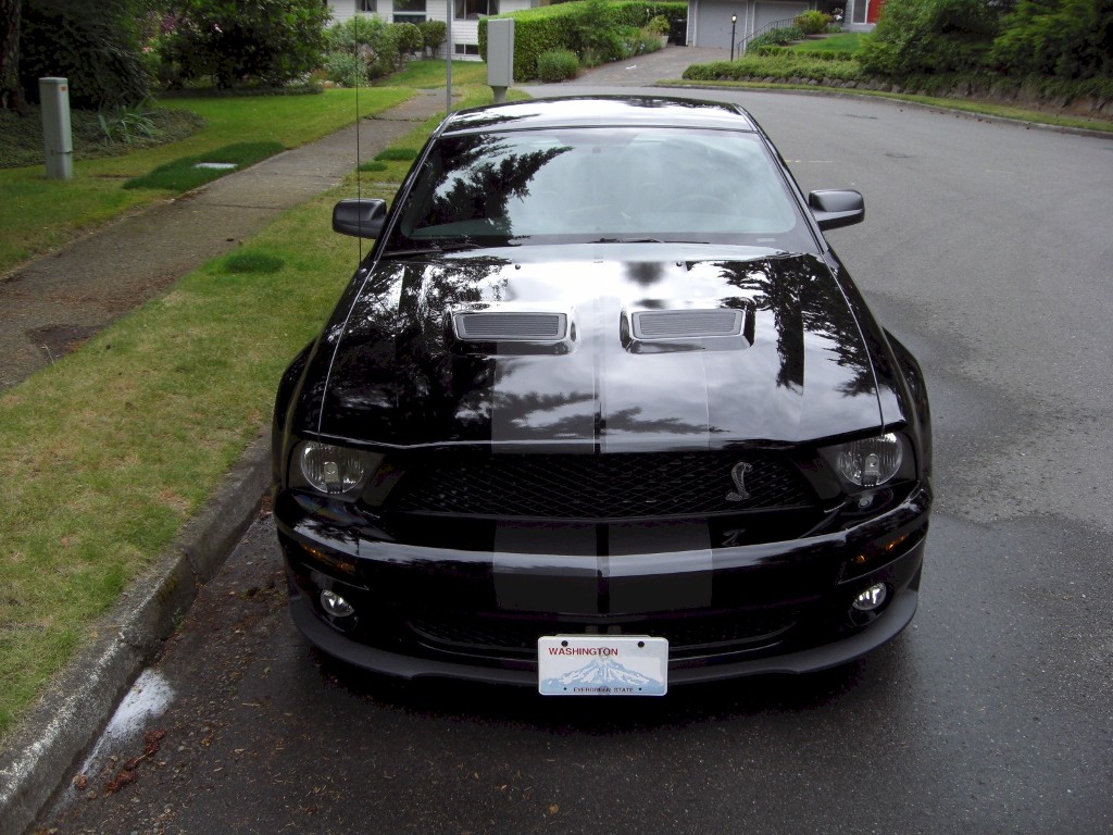 Black 2008 Shelby GT500 Coupe