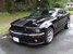Black 2008 Shelby GT500 Coupe