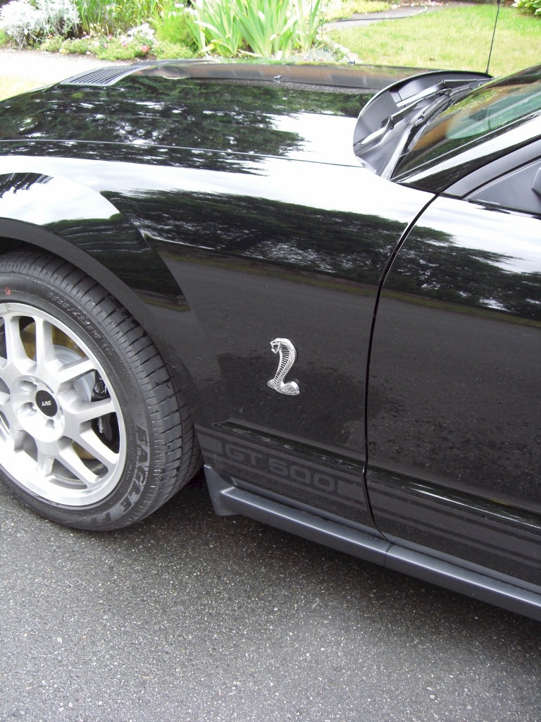 GT500 Alloy Side Stripe