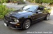 Black 08 Shelby GT500 SVT Mustang Coupe