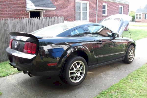 2005 Shelby Project