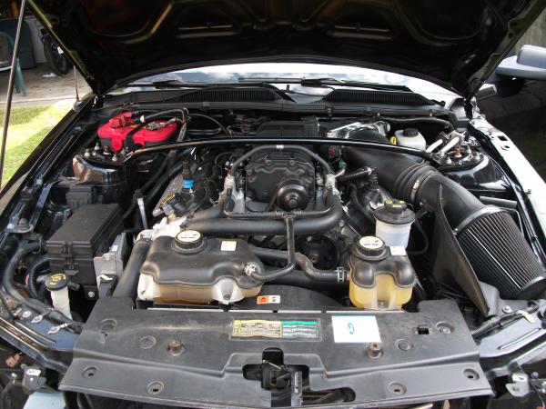 2005 Shelby Engine