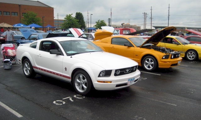 Peformance White 2008 Warriors in Pink Mustang