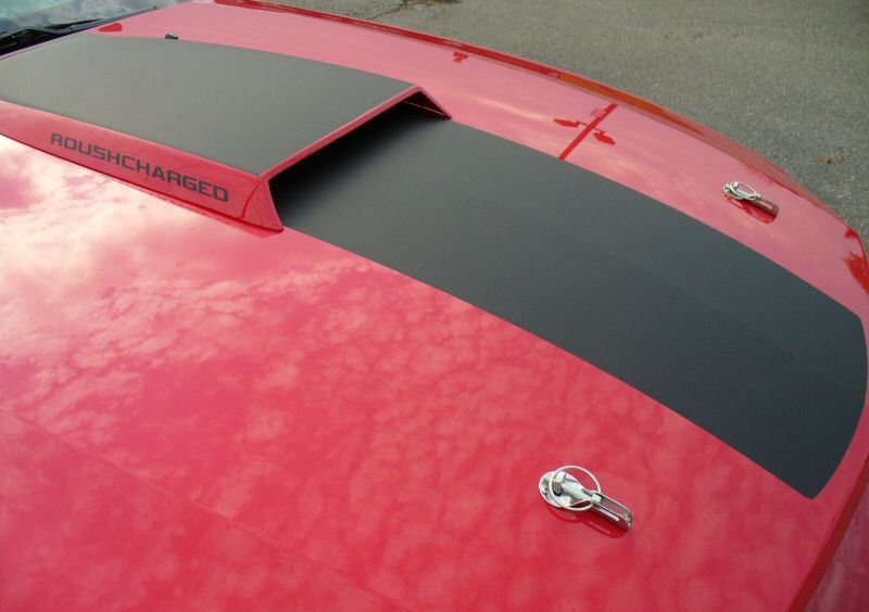 Close-up of Hood Scoop and Hood Pins