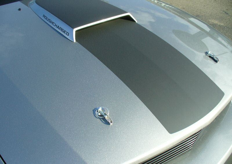 Hood Close-up View