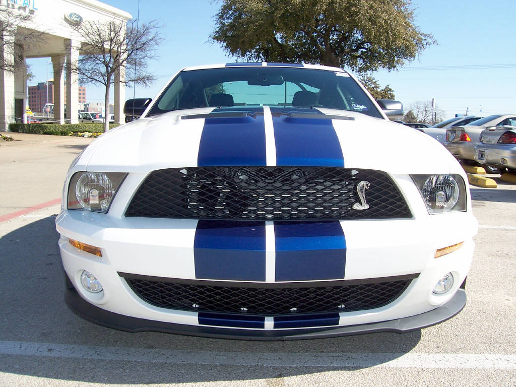 Performance White 2008 Mustang Shelby GT-500 Coupe