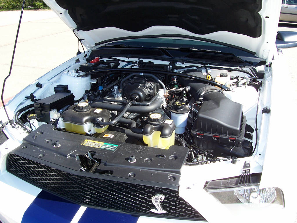 2008 Shelby S-code V8 Engine